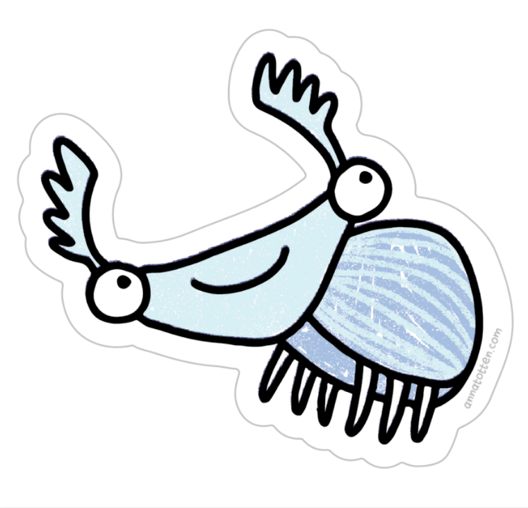 Beetle Sticker